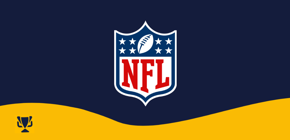 Grundspillet i National Football League