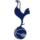 Tottenham icon football