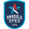 Anadolu Efes logo